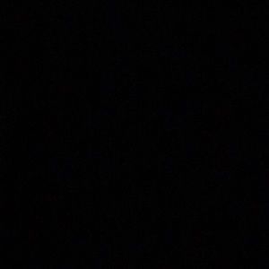 Meet your Posher, Patsy